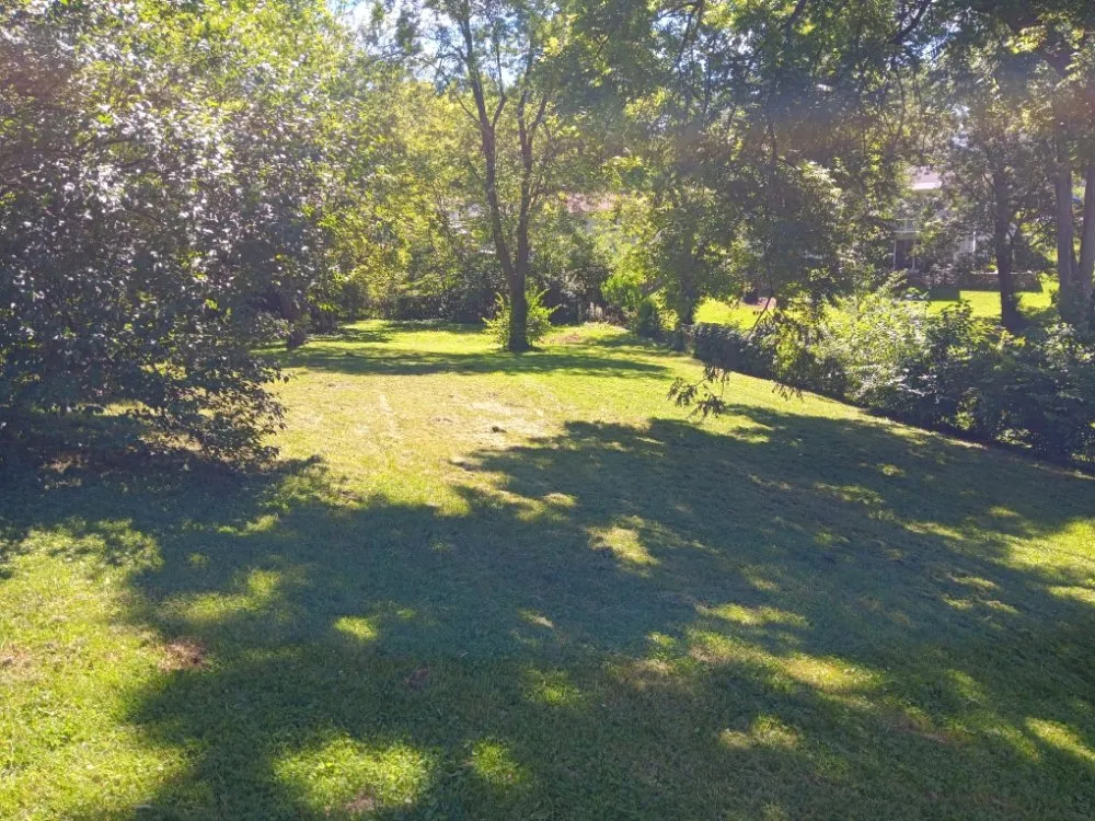 Trusted lawn mowing service near you in Collinsville, IL by Milley's Lawn and Power Wash Services