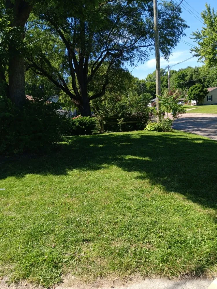 Local lawn mowing service for year-round maintenance across Collinsville, IL - Milley's Lawn and Power Wash Services