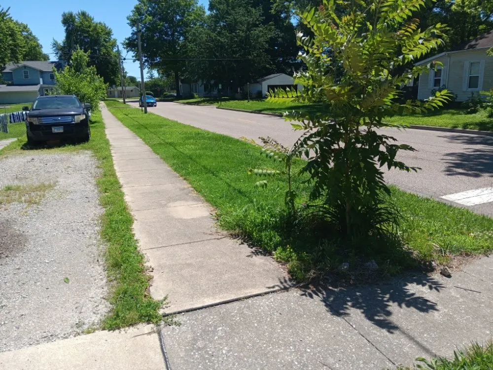 Reliable landscape design experts serving Collinsville, IL - Milley's Lawn and Power Wash Services