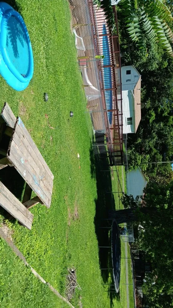 Trusted landscaping services for homes in Collinsville, IL by Milley's Lawn and Power Wash Services