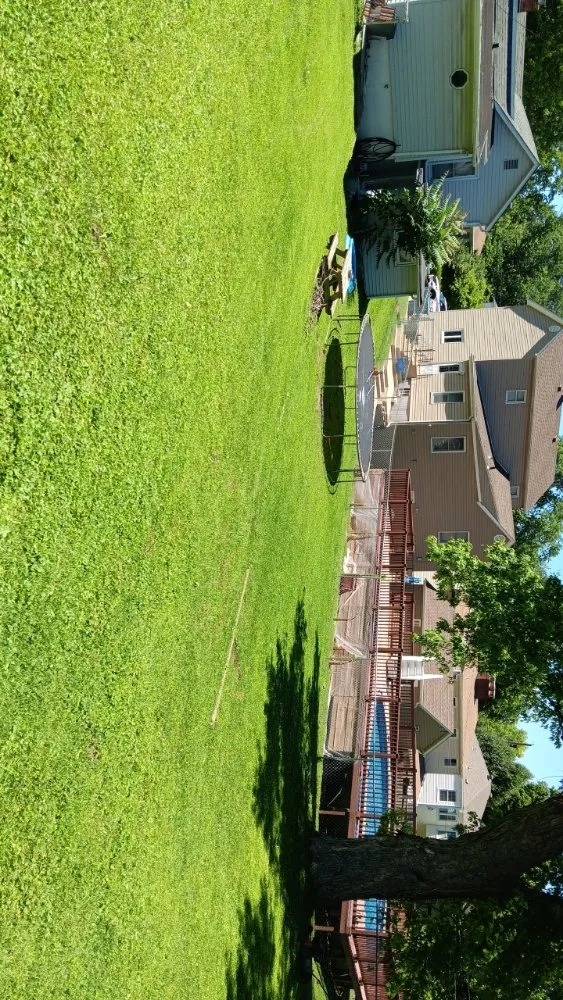 Trusted residential landscaping experts serving Collinsville, IL - Milley's Lawn and Power Wash Services