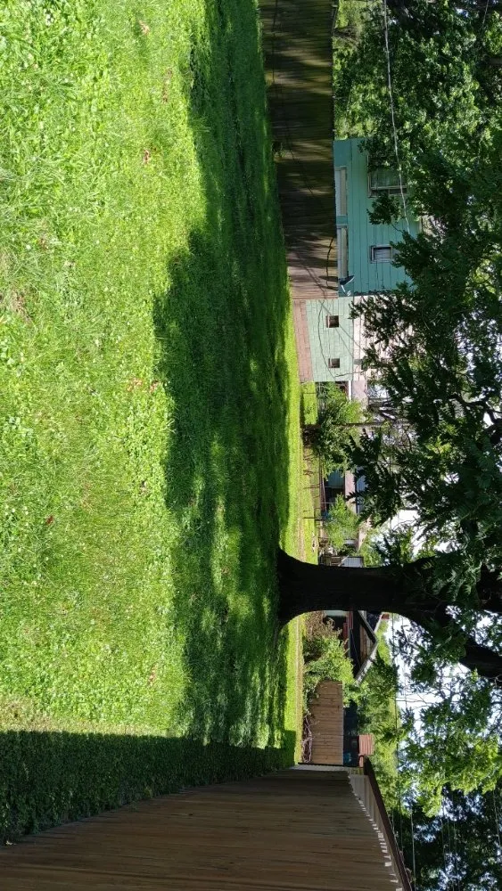 Affordable landscape design for outdoor upgrades across Collinsville, IL - Milley's Lawn and Power Wash Services