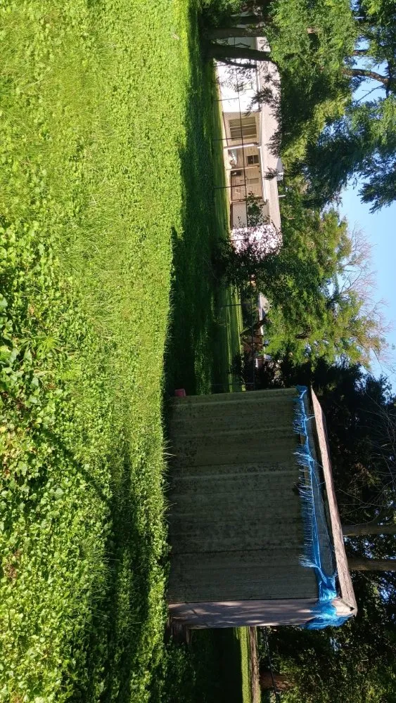 Professional landscape installation experts serving Collinsville, IL - Milley's Lawn and Power Wash Services