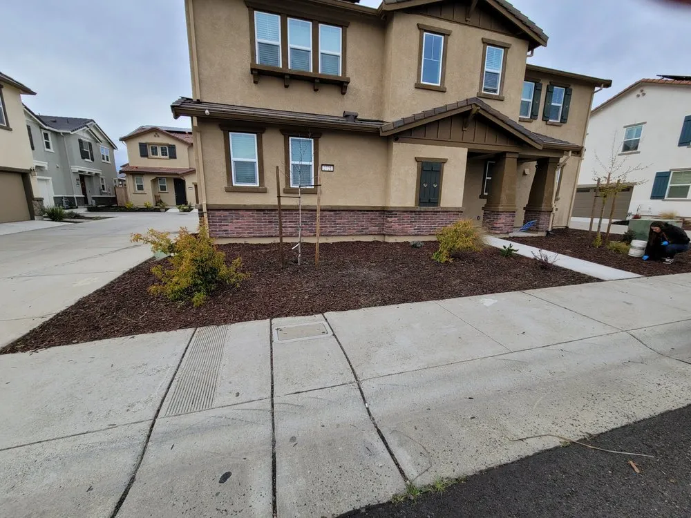 Trusted yard cleanup service in Sacramento, CA - Millhouse Landscaping