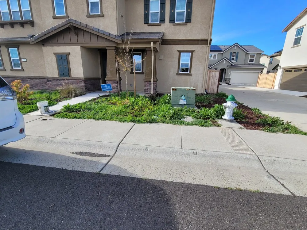 Custom outdoor landscaping for homes across Sacramento, CA - Millhouse Landscaping