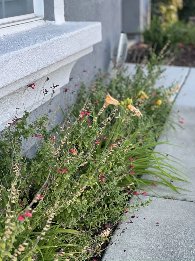 Trusted lawn mowing service experts serving Sacramento, CA - Millhouse Landscaping