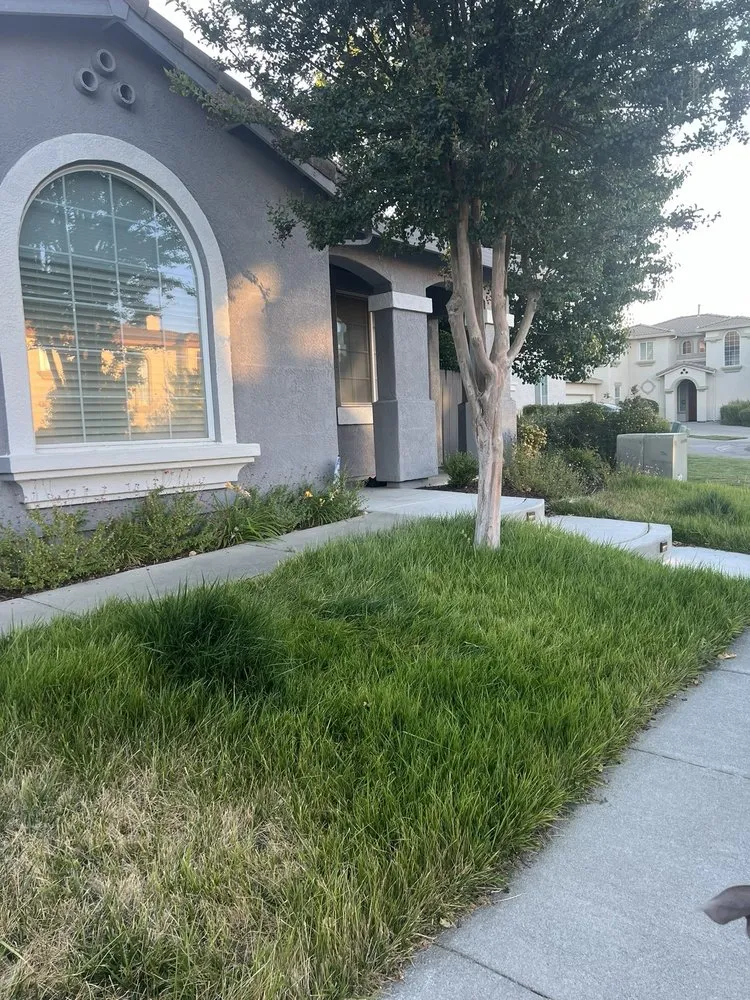 Professional lawn care service for residential properties in Sacramento, CA by Millhouse Landscaping