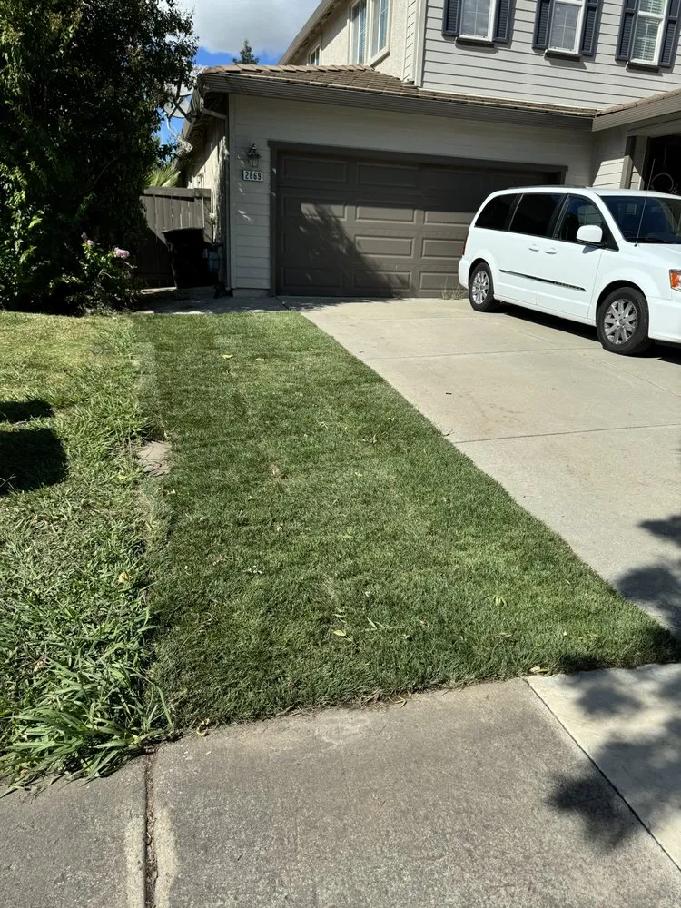 Top-rated landscaping services in Sacramento, CA - Millhouse Landscaping