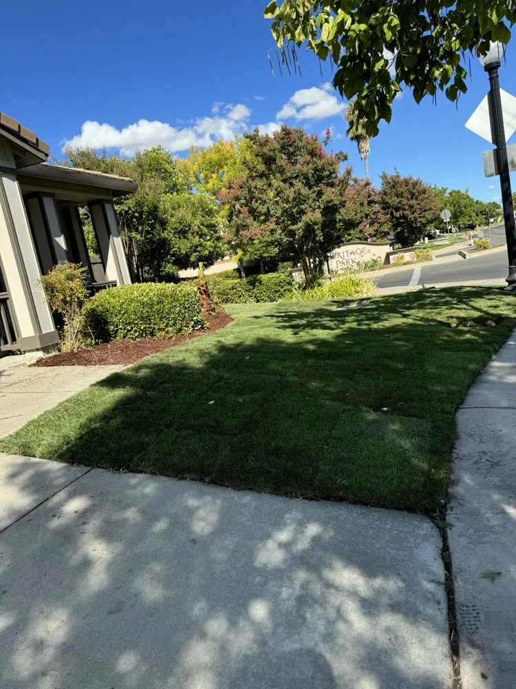 Affordable garden landscaping experts serving Sacramento, CA - Millhouse Landscaping