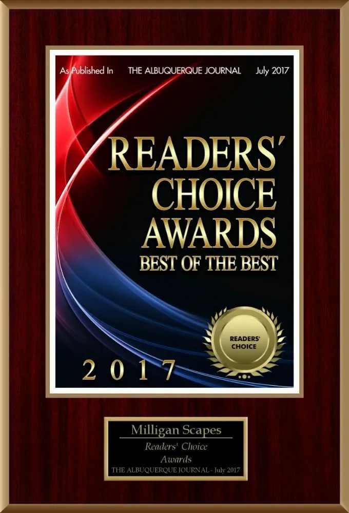 Reliable yard cleanup service experts serving Albuquerque, NM - Milligan Scapes Landscaping and Lawn Care