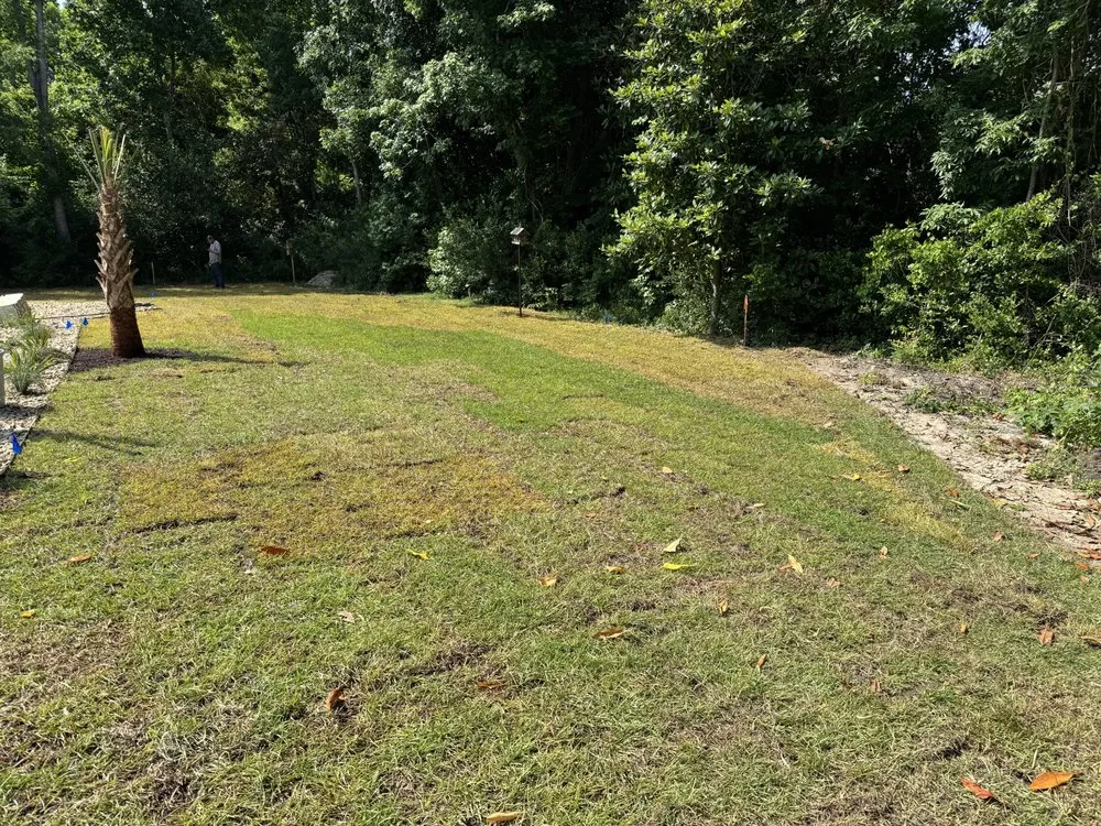 Expert yard maintenance for year-round maintenance across Ash, NC - Milliken Enhanced Service