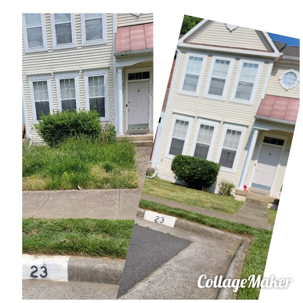 Expert lawn mowing service in Woodbridge, VA - Millionaire Home Services