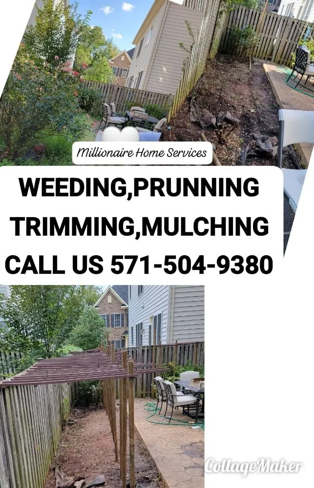 Expert yard cleanup service for residential properties across Woodbridge, VA - Millionaire Home Services