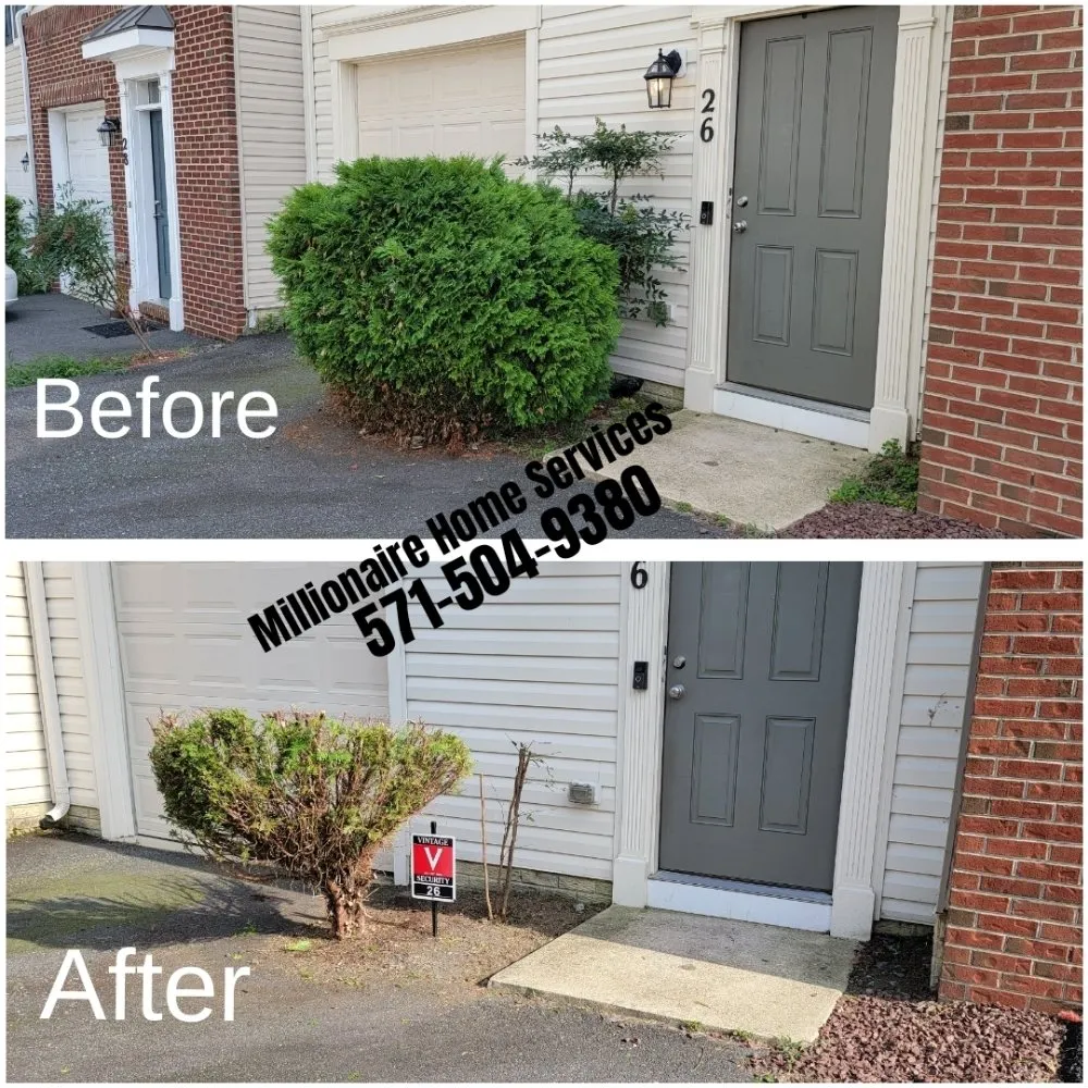 Professional landscape design in Woodbridge, VA - Millionaire Home Services