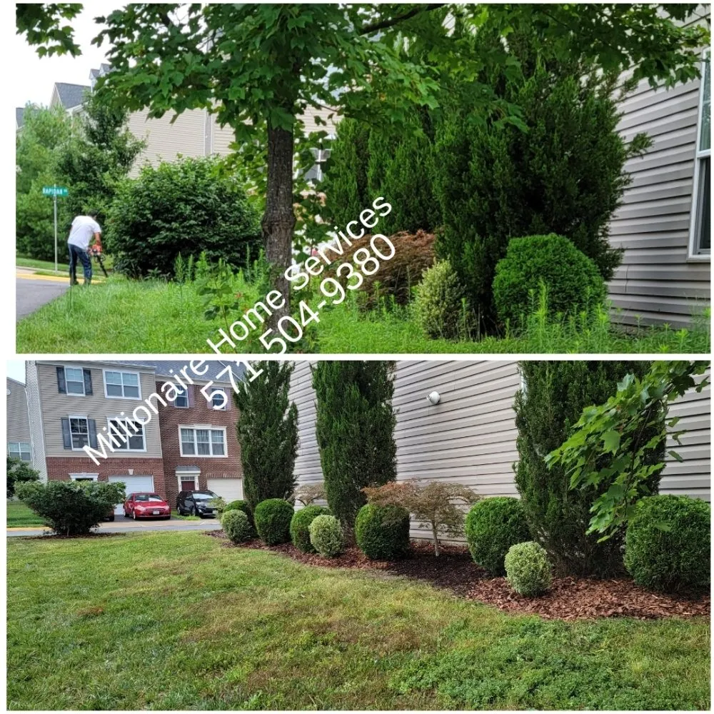Local outdoor landscaping experts serving Woodbridge, VA - Millionaire Home Services