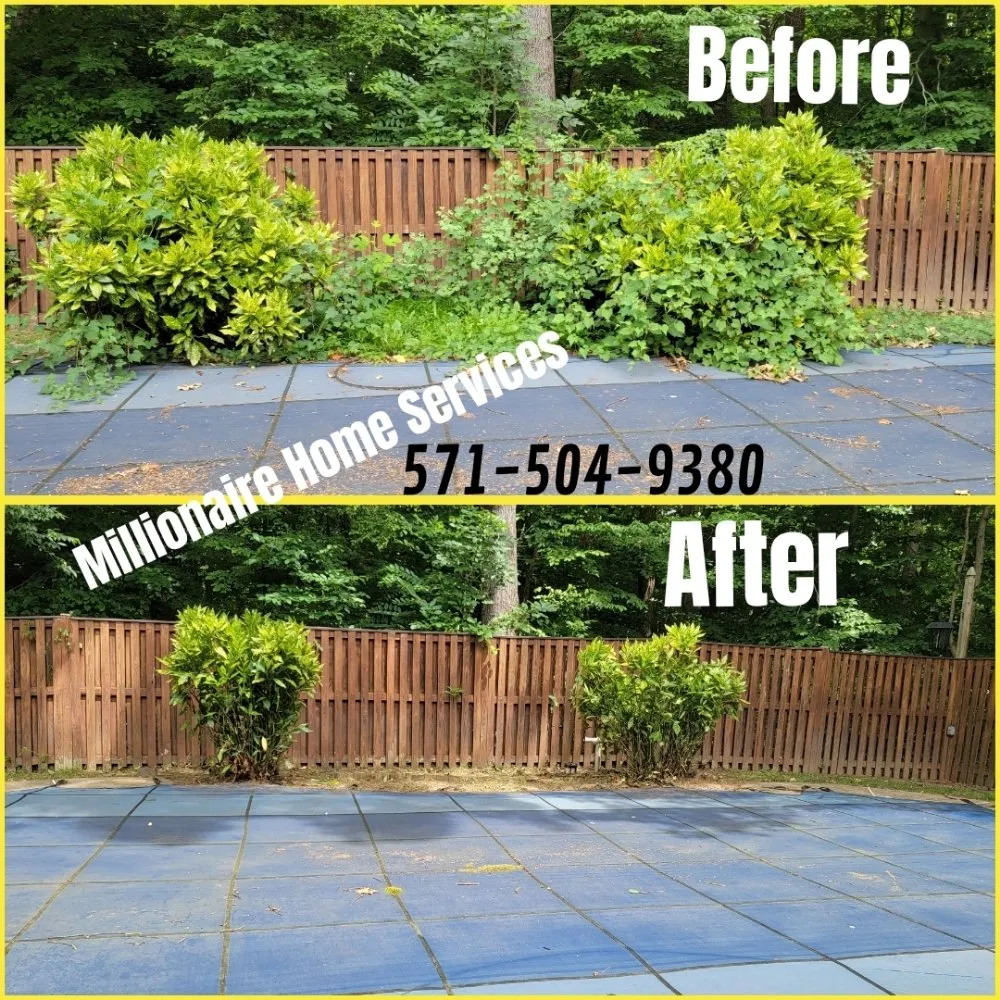 Affordable lawn care service near you in Woodbridge, VA by Millionaire Home Services