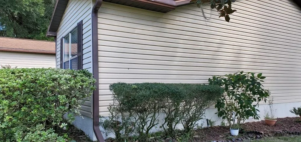 Top-rated yard cleanup service in Lessburg, FL by Millos Lawn Services