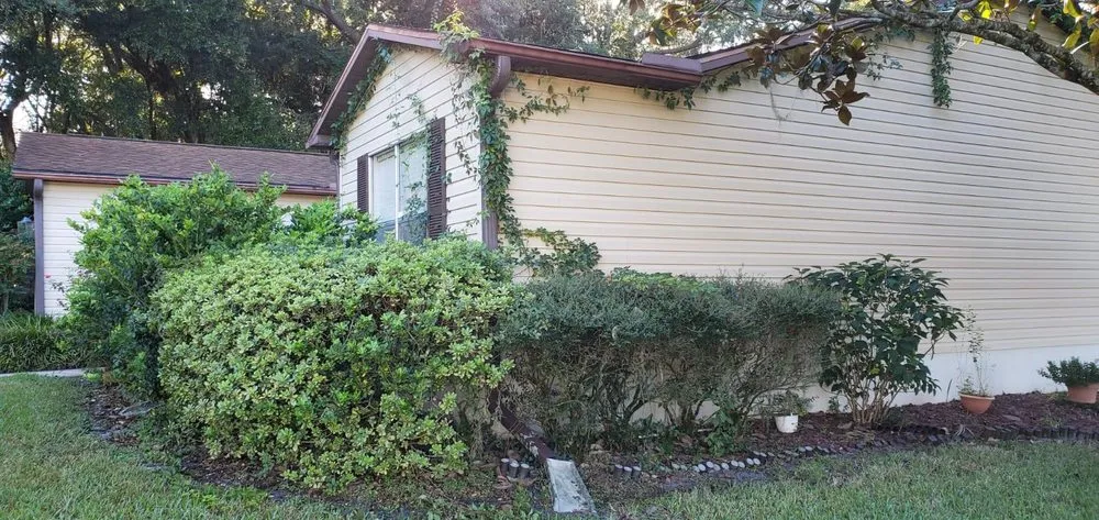 Affordable landscaping services in Lessburg, FL by Millos Lawn Services
