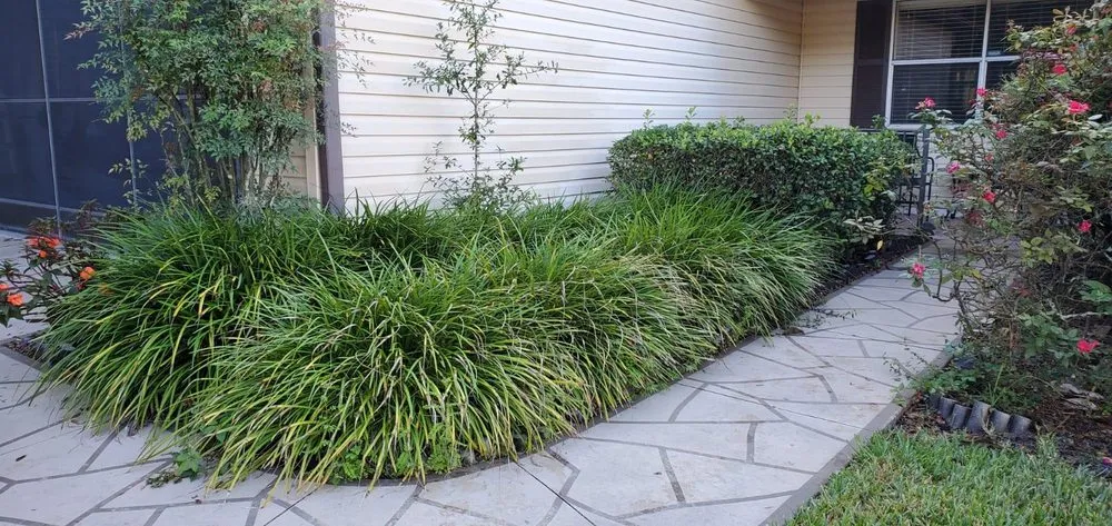 Local yard cleanup service for year-round maintenance across Lessburg, FL - Millos Lawn Services