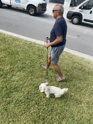 Millos Lawn Services