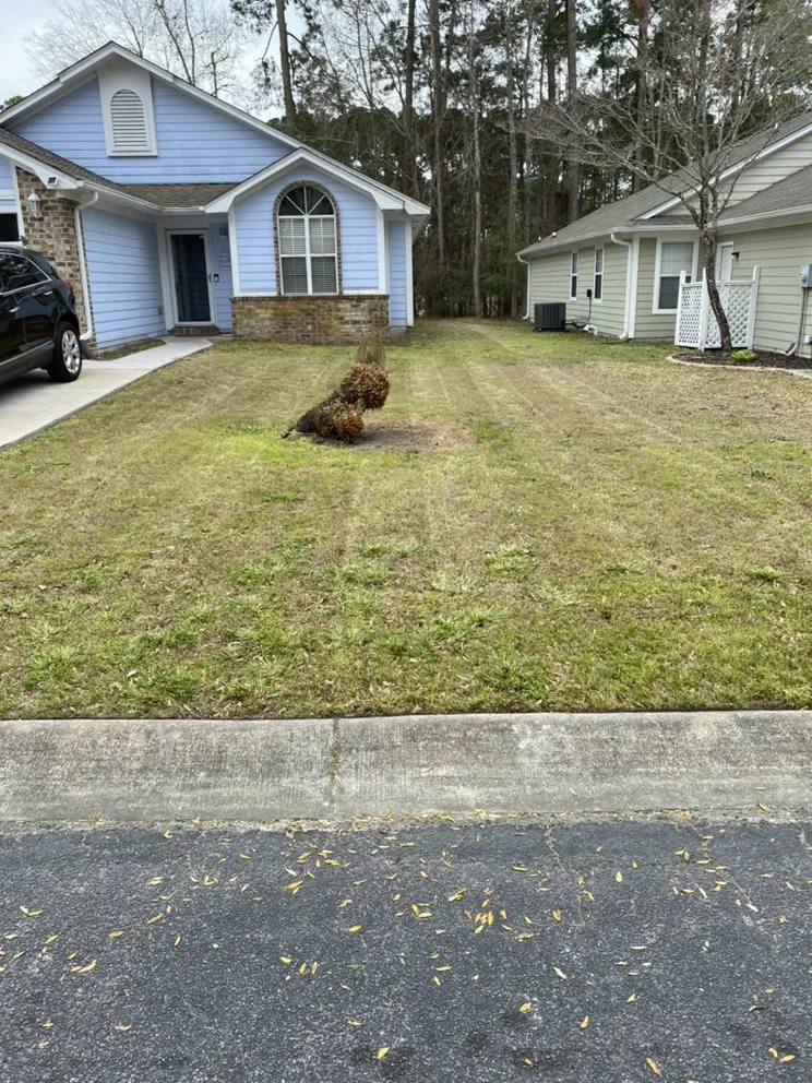 Local yard cleanup service for outdoor upgrades across Conway, SC - Mills and Sons Property Services