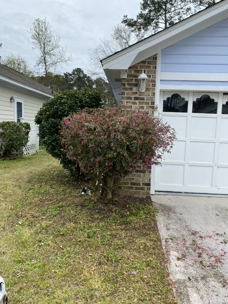 Affordable residential landscaping experts serving Conway, SC - Mills and Sons Property Services