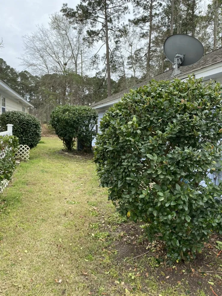 Expert lawn care service in Conway, SC by Mills and Sons Property Services