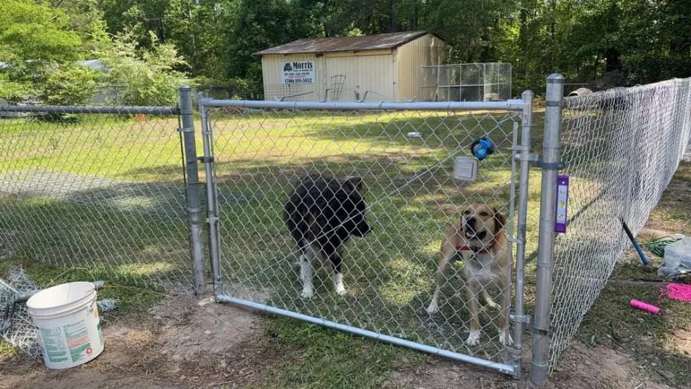 Trusted yard maintenance with custom design across Eatonton, GA - Mills Family landwork