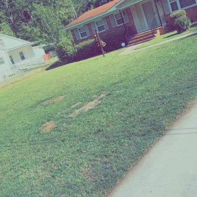 Mills Family landwork Logo