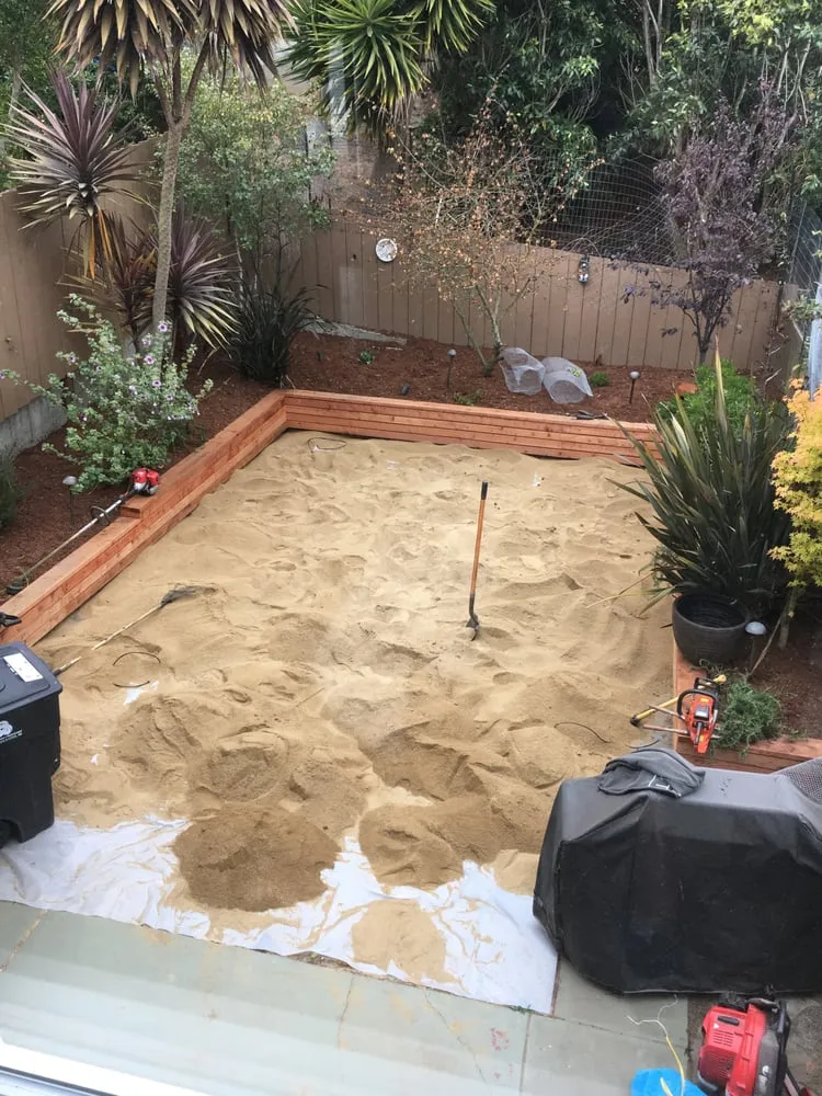 Top-rated yard maintenance near you in San Francisco, CA by Mill's Gardening Service