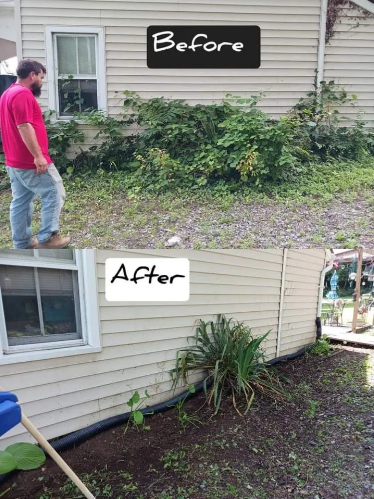 Affordable outdoor landscaping in Front Royal, VA - Mills Landscape & Lawn Care