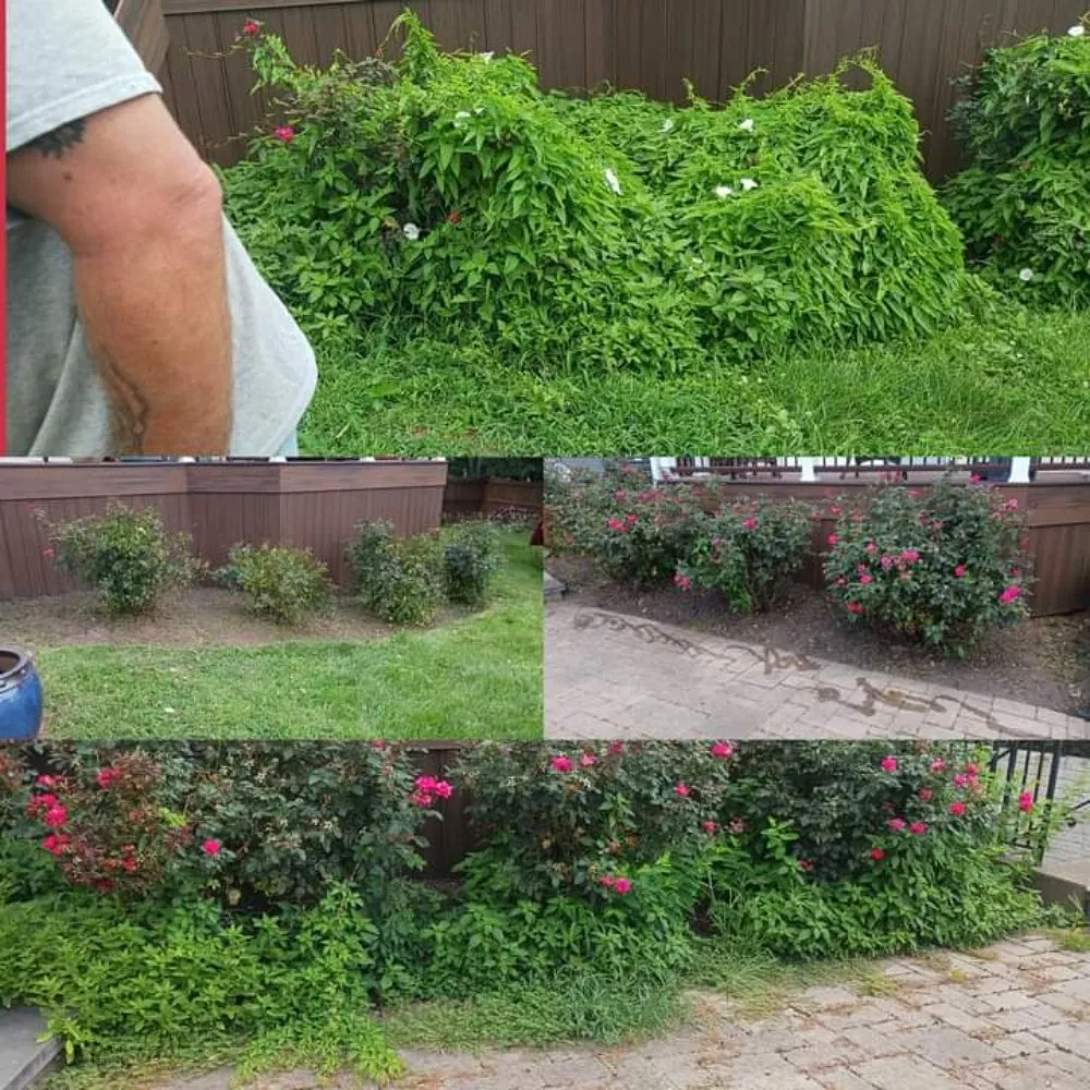 Custom landscape design for beautiful yards in Front Royal, VA by Mills Landscape & Lawn Care