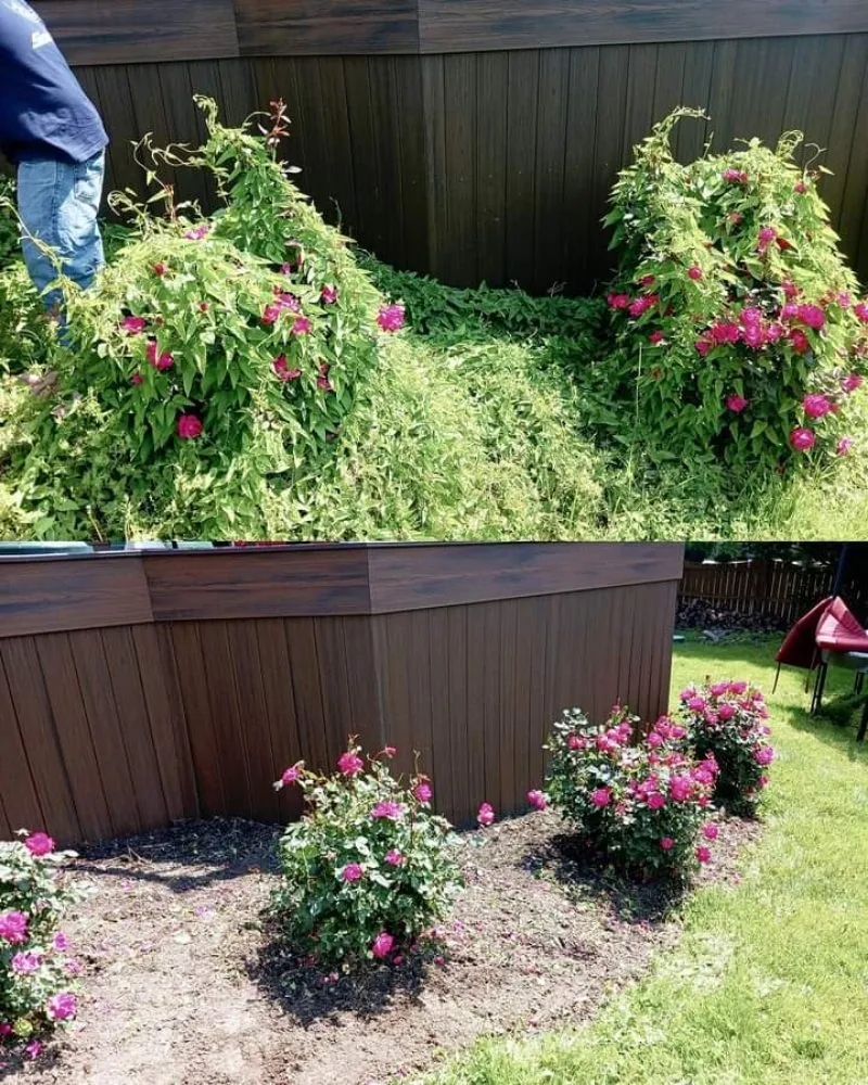 Top-rated yard cleanup service experts serving Front Royal, VA - Mills Landscape & Lawn Care