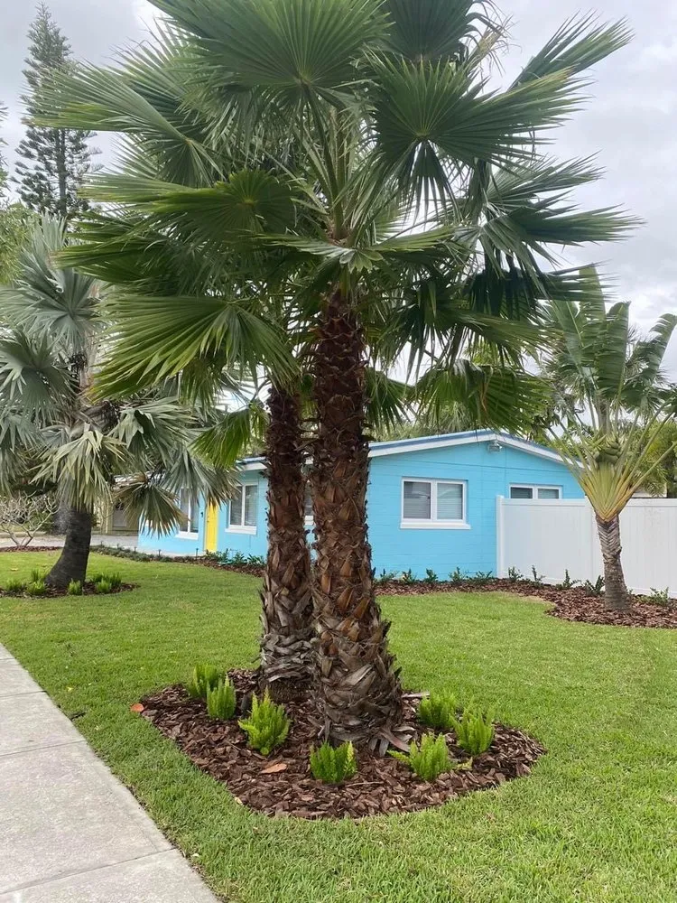 Custom lawn care service in St. Petersburg, FL - Mills Landscaping