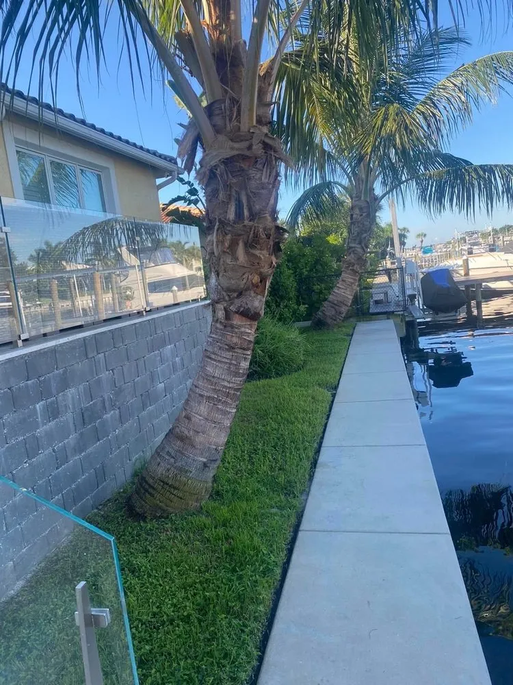 Affordable landscape installation with custom design in St. Petersburg, FL by Mills Landscaping