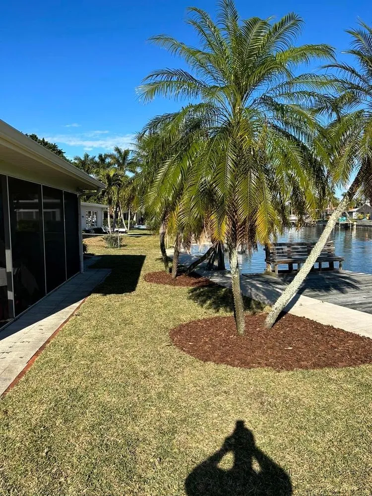 Trusted lawn care service for outdoor upgrades in St. Petersburg, FL by Mills Landscaping