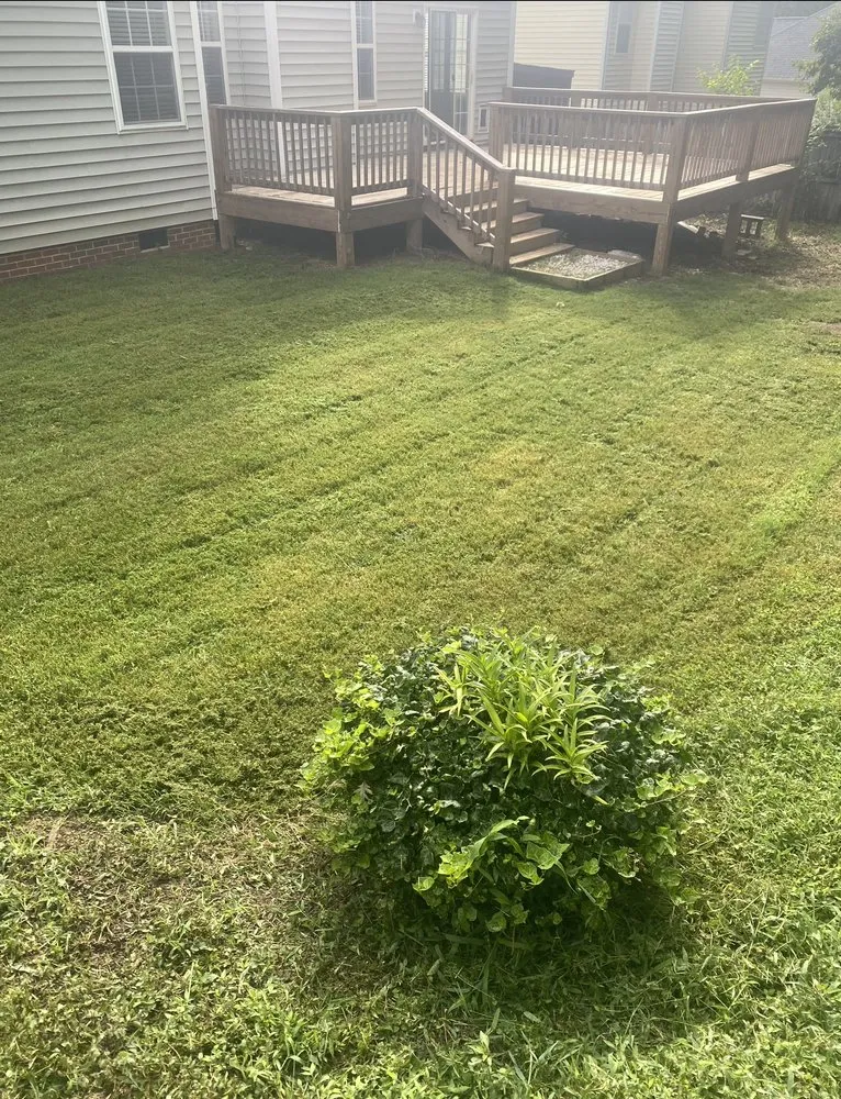 Affordable yard cleanup service in Roxboro, NC - Mills Lawn Care
