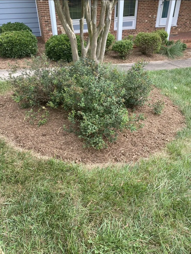 Custom lawn care service experts serving Roxboro, NC - Mills Lawn Care