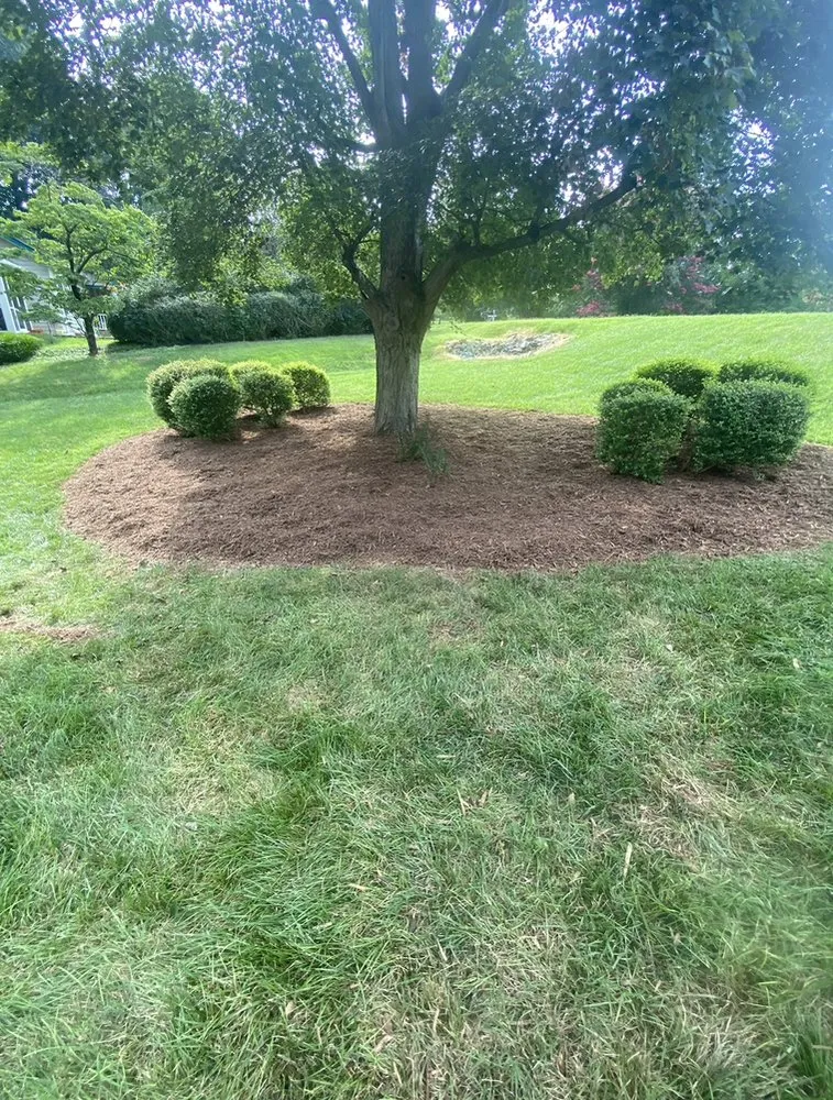Custom landscape installation experts serving Roxboro, NC - Mills Lawn Care