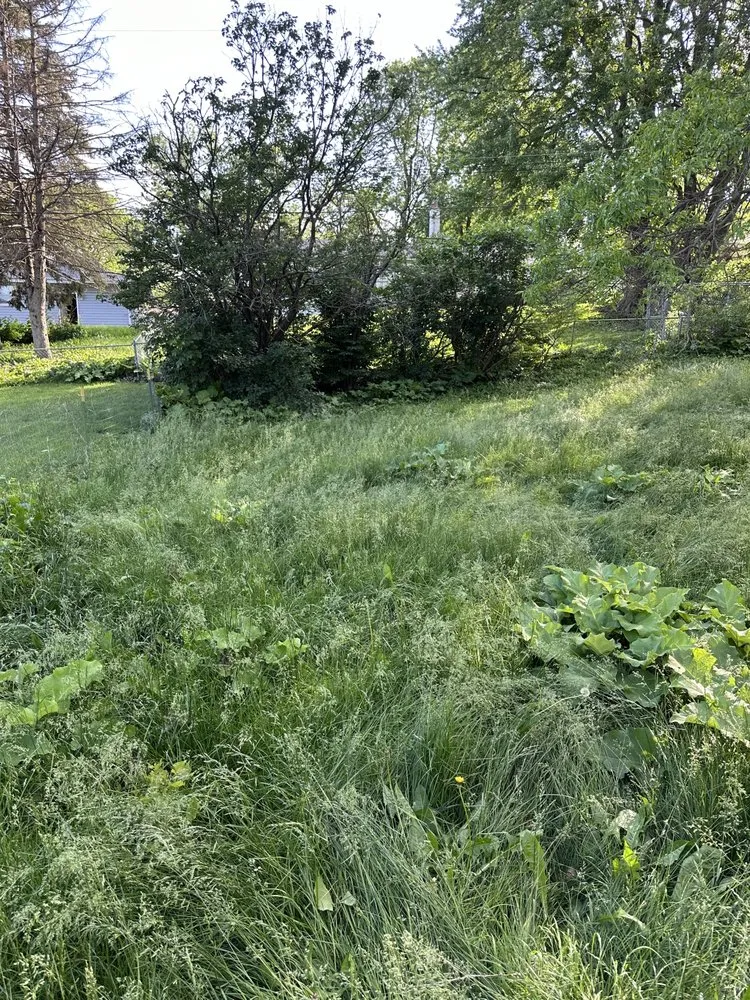 Expert lawn mowing service with custom design across Bellevue, NE - Mills Maintenance