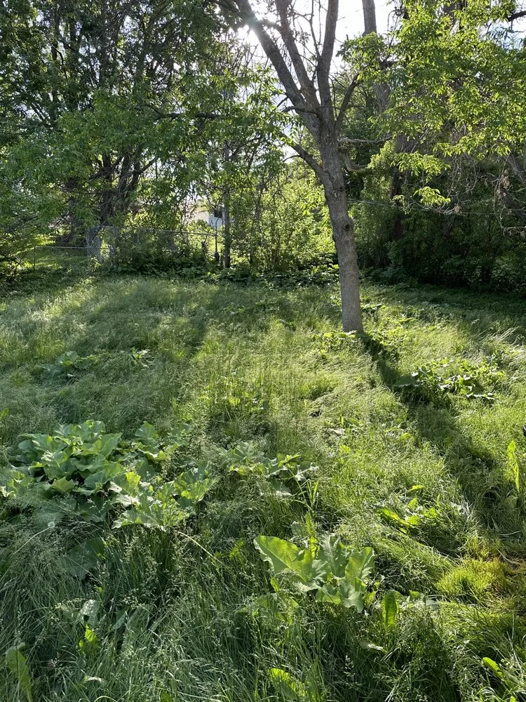 Expert landscape installation experts serving Bellevue, NE - Mills Maintenance