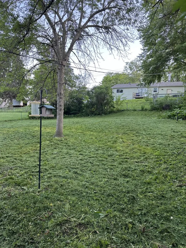 Top-rated lawn mowing service in Bellevue, NE - Mills Maintenance