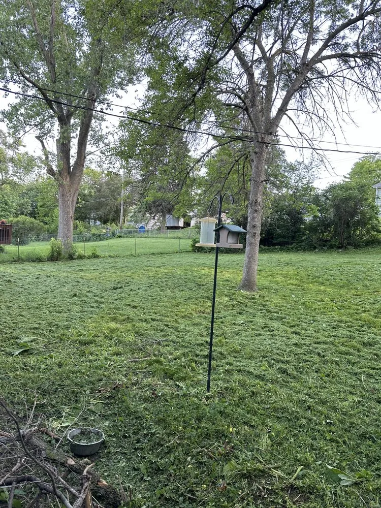 Affordable yard cleanup service in Bellevue, NE - Mills Maintenance