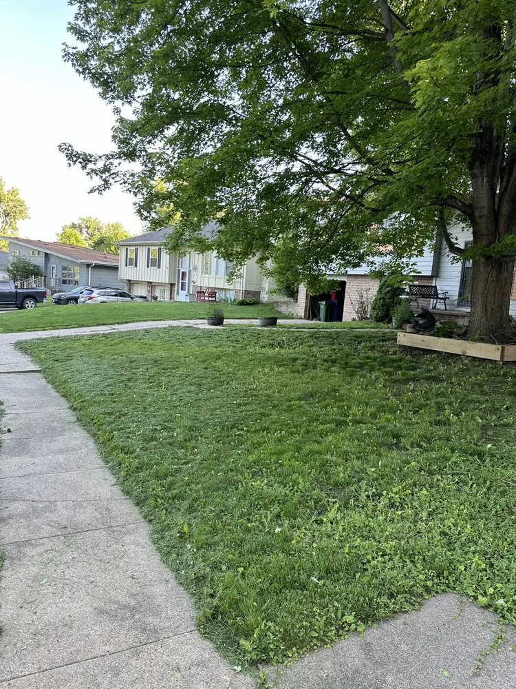 Trusted yard cleanup service near you in Bellevue, NE by Mills Maintenance