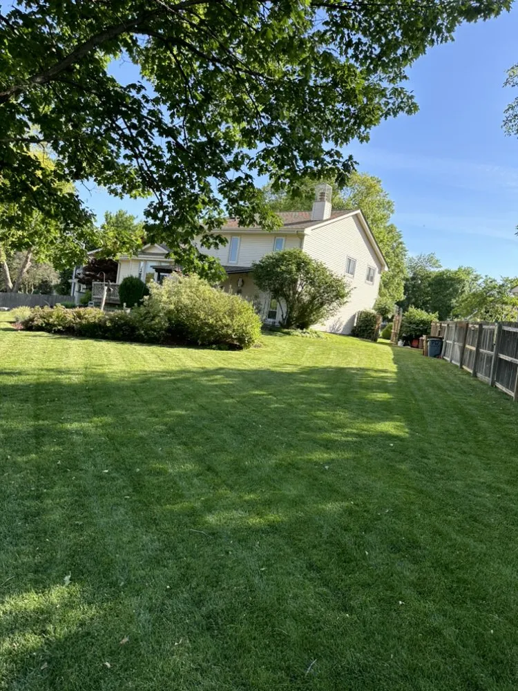 Trusted lawn mowing service in Bellevue, NE by Mills Maintenance
