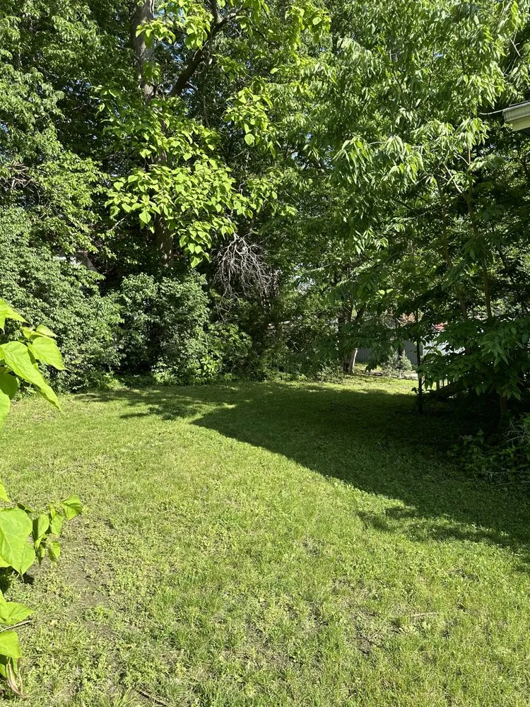 Trusted outdoor landscaping for homes across Bellevue, NE - Mills Maintenance