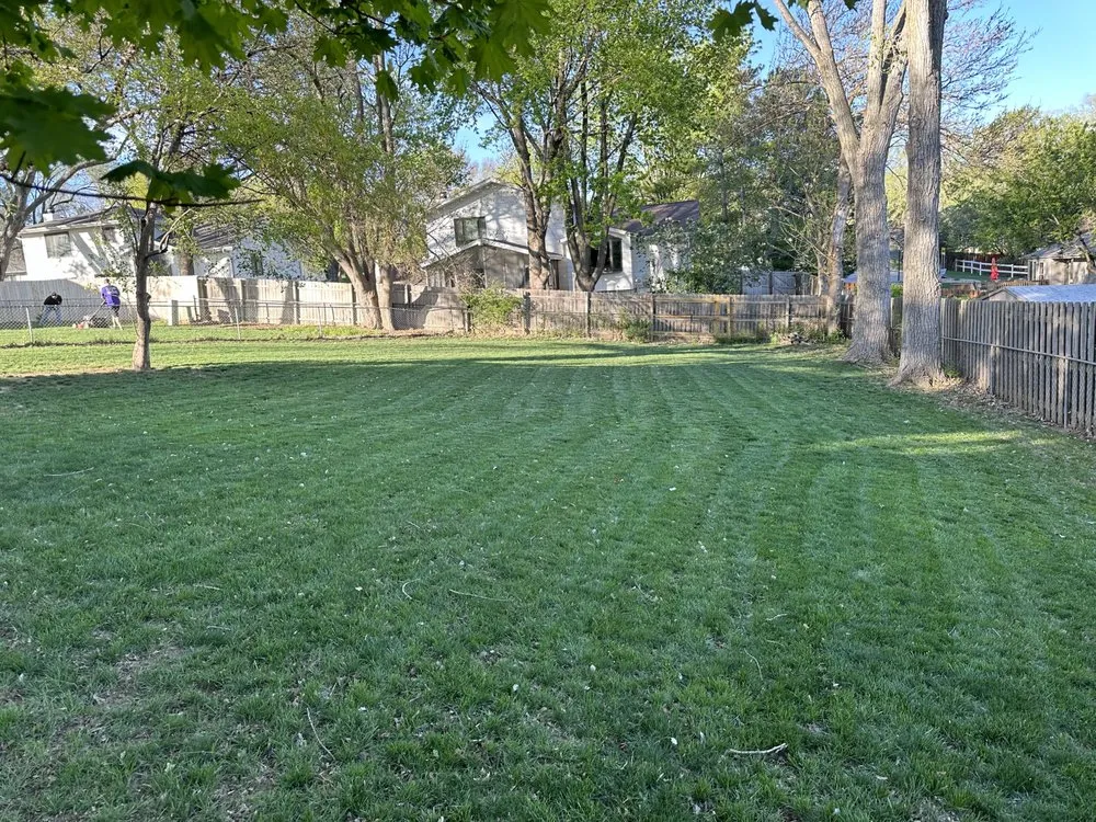 Trusted yard cleanup service in Bellevue, NE - Mills Maintenance