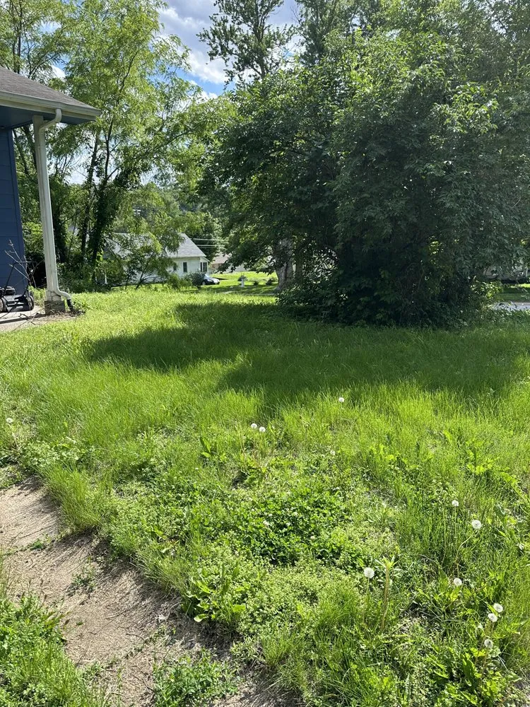 Affordable yard maintenance for homes in Bellevue, NE by Mills Maintenance