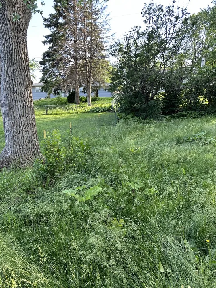 Top-rated lawn mowing service for outdoor upgrades in Bellevue, NE by Mills Maintenance