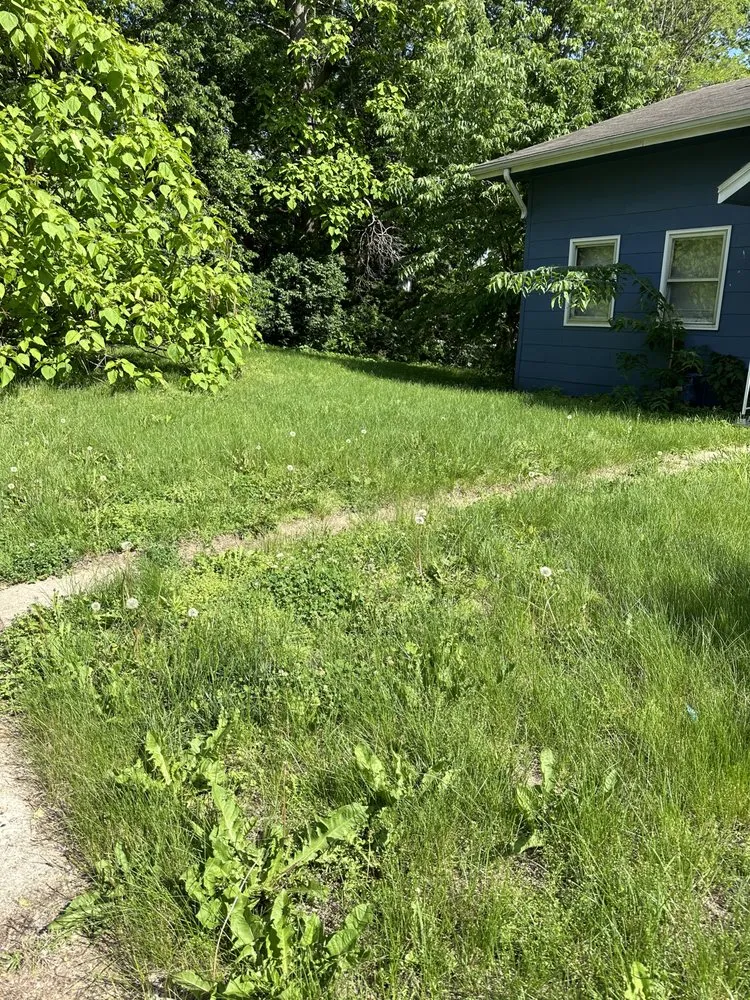 Expert landscaping services in Bellevue, NE by Mills Maintenance